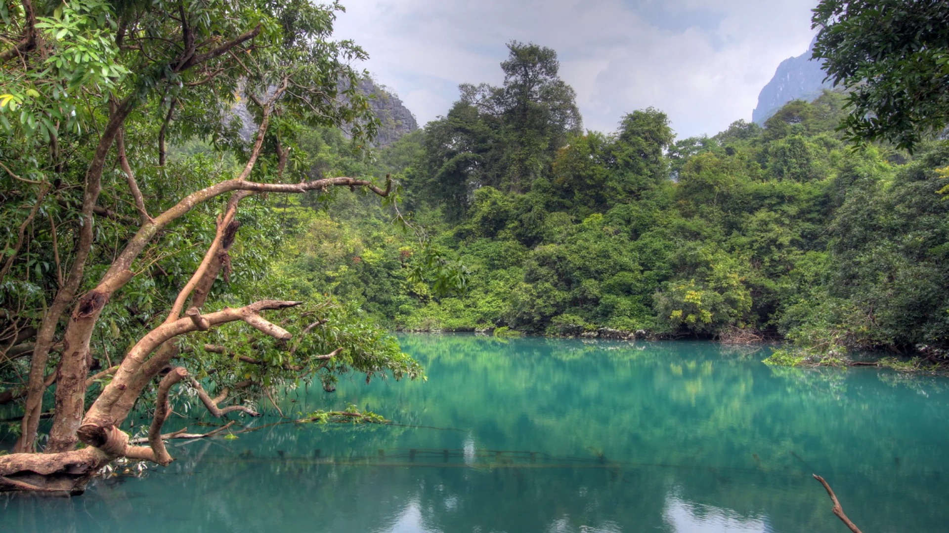 Peut &ecirc;tre une image de lac et arbre