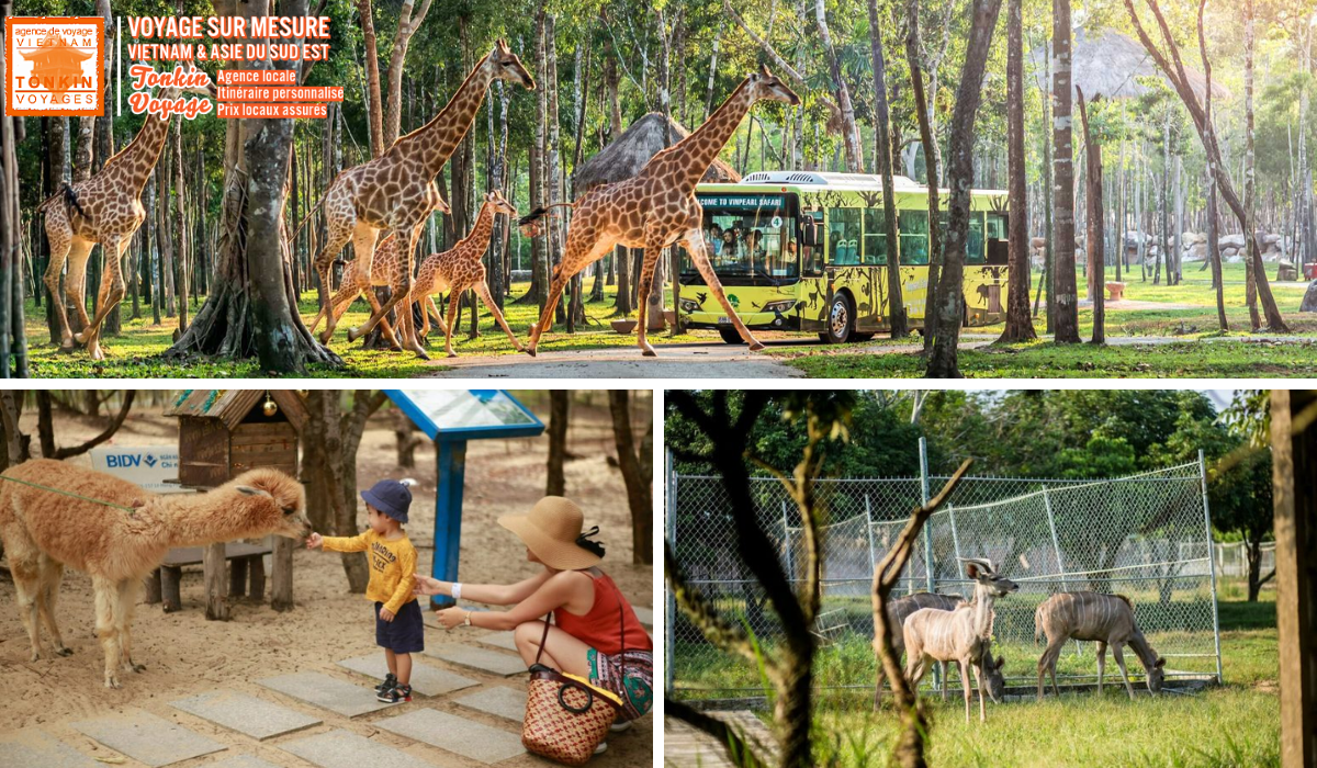 Meilleurs safaris au Vietnam
